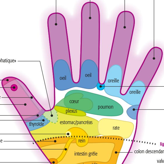 Réflexologie palmaire - Géraldine Viatte, thérapeute diplômée fédérale & Réflexothérapeute